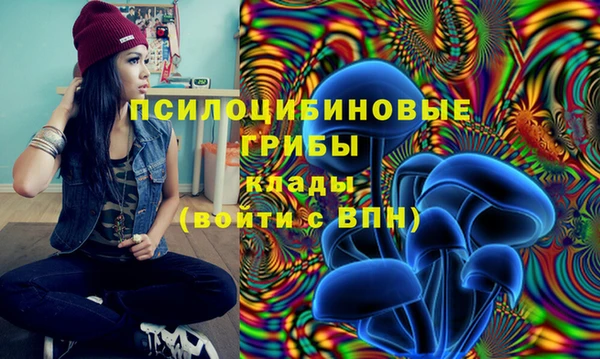 молекула духа Балахна