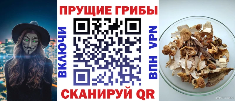 Галлюциногенные грибы ЛСД  где купить наркотик  Верея 